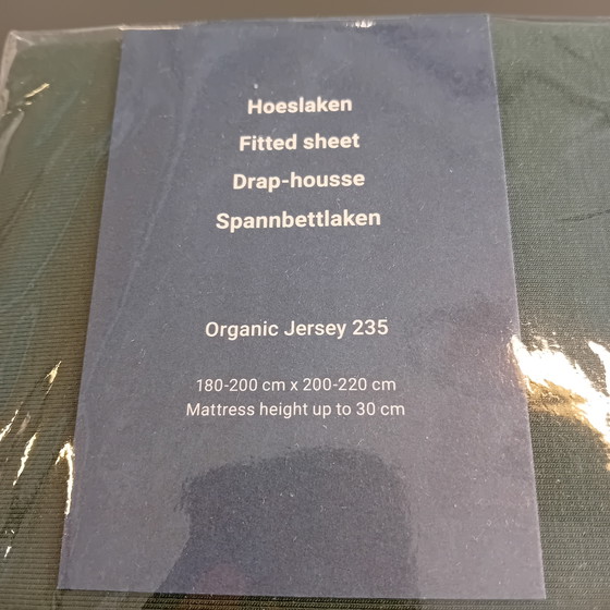 Image 1 of Lenzuolo con angoli in jersey 235 Auping 180x200-210