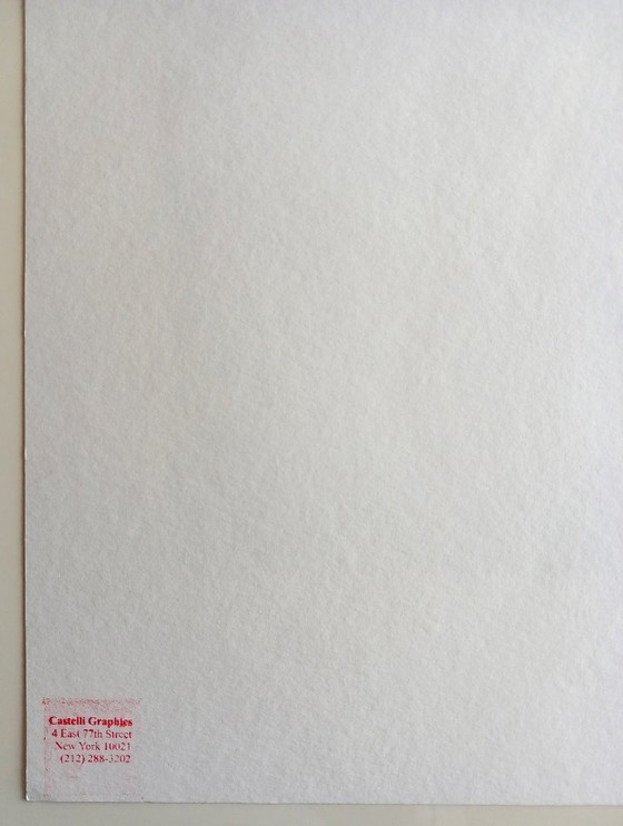 Image 1 of Roy Lichtenstein – Litografía Pinceladas – enmarcada