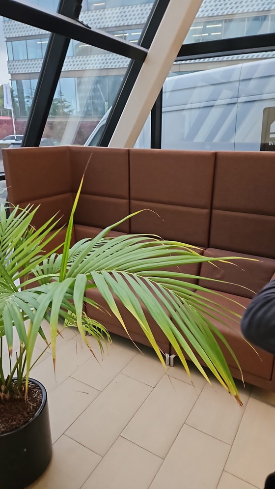 Image 1 of acoustic furniture