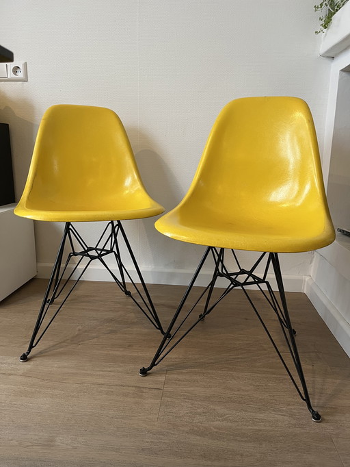 2 Yellow Eames Chairs Herman Miller Dsr Glassfibre