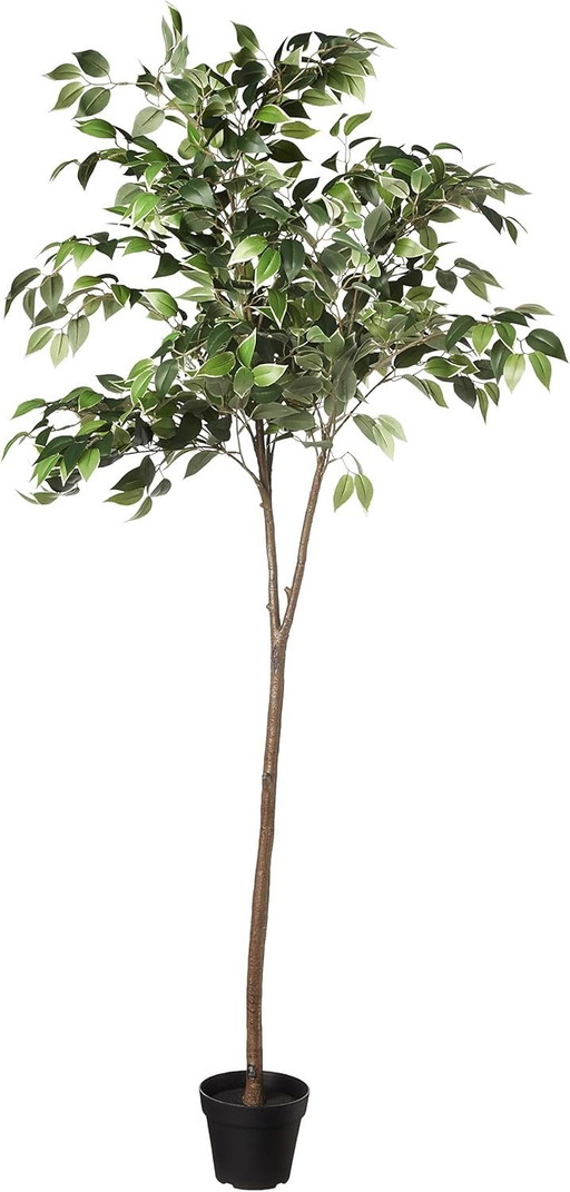 Ficus artificiel avec pot en plastique, 160 cm, Vert
