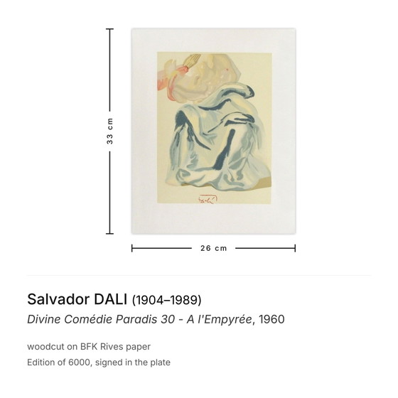 Image 1 of Salvador Dalí Göttliche Komödie Paradies 30 - Im Empyreum Holzschnitt 1960