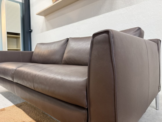 Canapé 3 places Heelz en cuir marron, modèle Design on Stock – Canapés 3 places, Leather (photo 3 of 7)