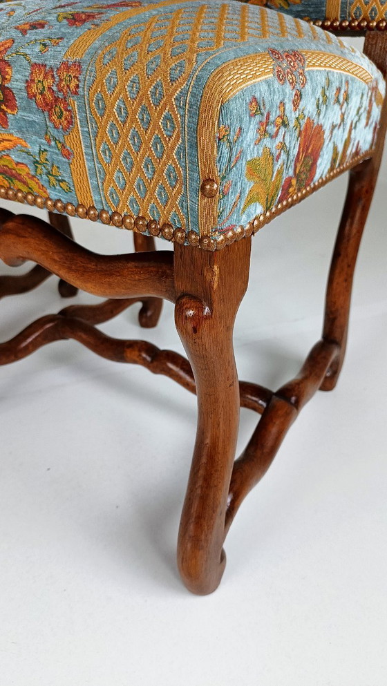 Os De Mouton Tapisserie-Stühle aus Buche (6er-Set) – Esszimmerstühle, Wood (photo 31 of 33)