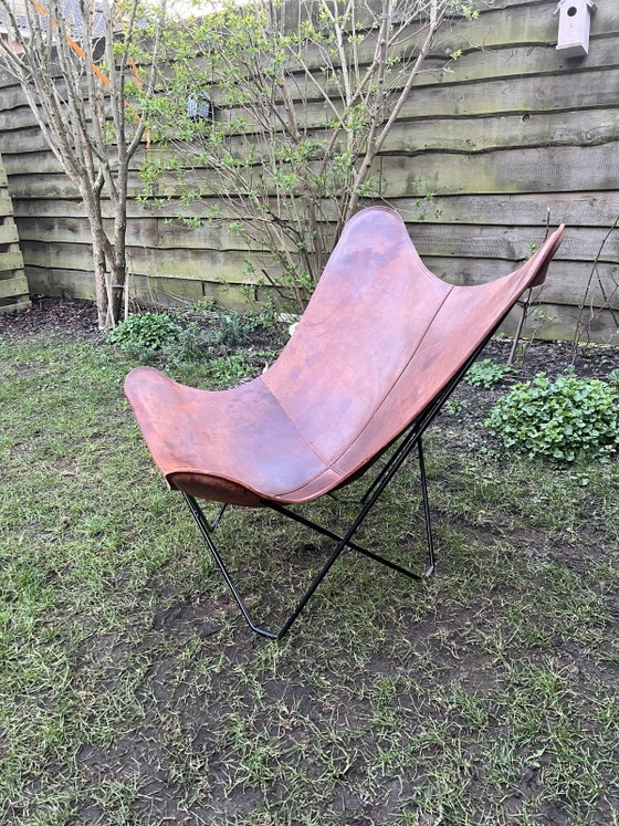 Image 1 of Cuero Design - Sedia Mariposa pelle pampa - Rovere