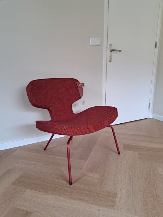 Image 1 of Poltrone Artifort Dragonfly