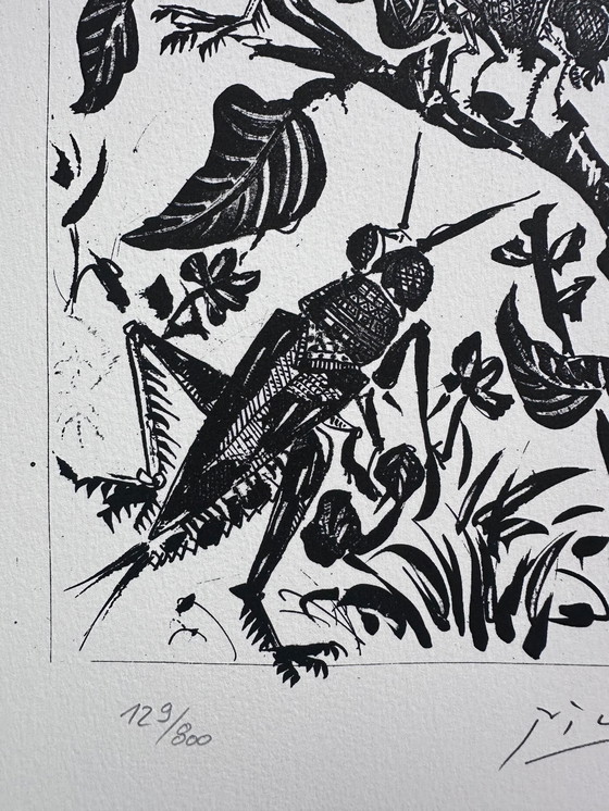 Image 1 of Pablo Picasso (1881–1973) Schöne Lithographie der Heuschrecken