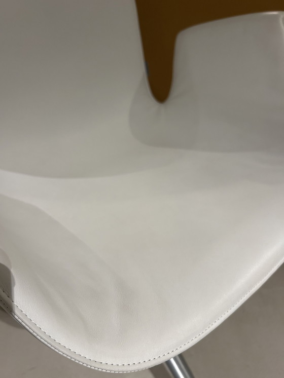 Image 1 of Poltrona Walter Knoll FK Schalensessel