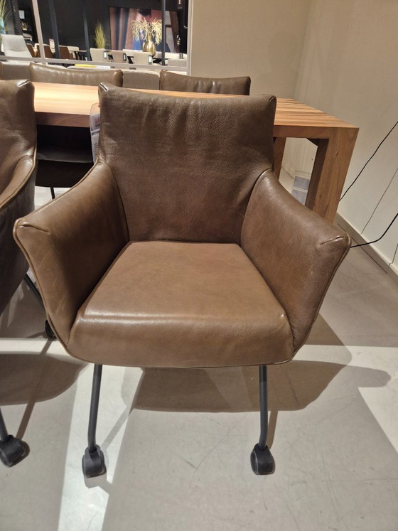 Image 1 of Chief Low Dining Chairs Label Vandenberg