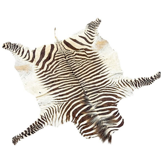 Image 1 of Tappeto vintage in pelle di zebra – autentica pelle di animale africano – oggetto decorativo per interni