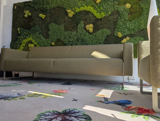 Artifort Mare 3-Sitzer-Sofa + Sessel | René Holten