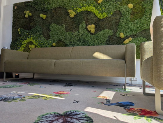 Image 1 of Artifort Mare 3-Sitzer-Sofa + Sessel | René Holten