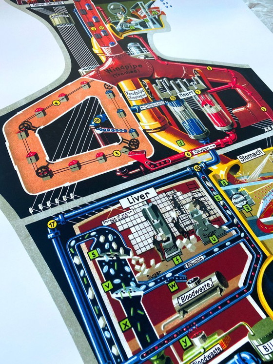 Image 1 of The human factory - Sketch of the body's functions - 1931 - Poster 61 x 91 cm