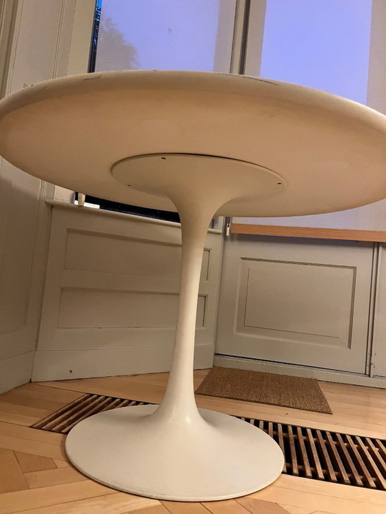 Image 1 of Mesa Tulip M. Burke para Arkana