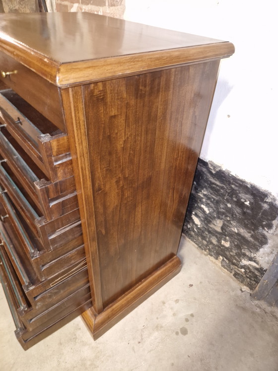 Image 1 of Specimen cabinet