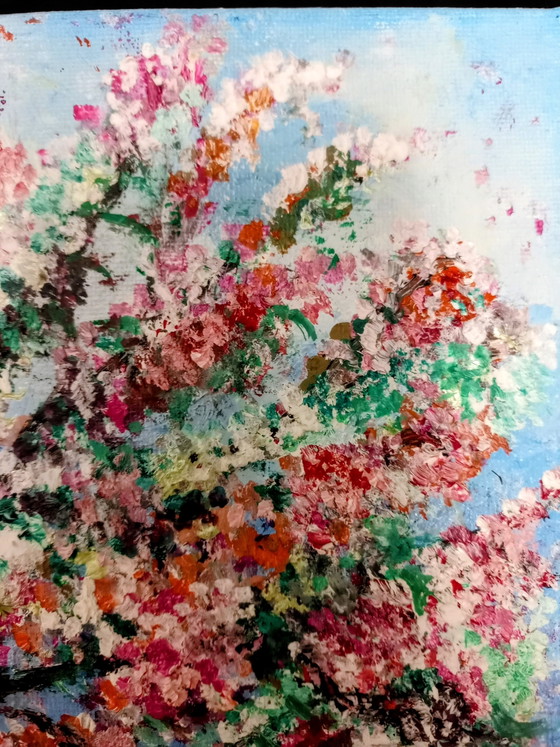Image 1 of T van Steenbergen "Blossom Tree" 30 x 40 cm New