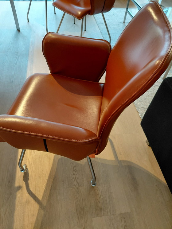 Image 1 of 6 sedie in pelle di Enzo Luca
