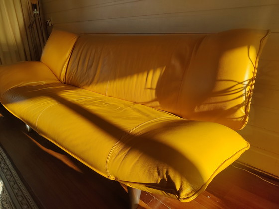 Image 1 of Leolux Tango Curry Amarillo