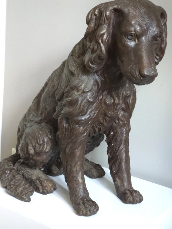 Lebensgroßer antiker bronzener Jagdhund (57 cm) – Exklusives Statement-Stück – Bildhauerei (photo 3 of 6)