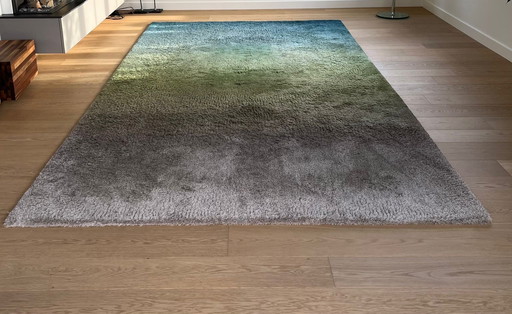 Millenerpoort carpet 200x400