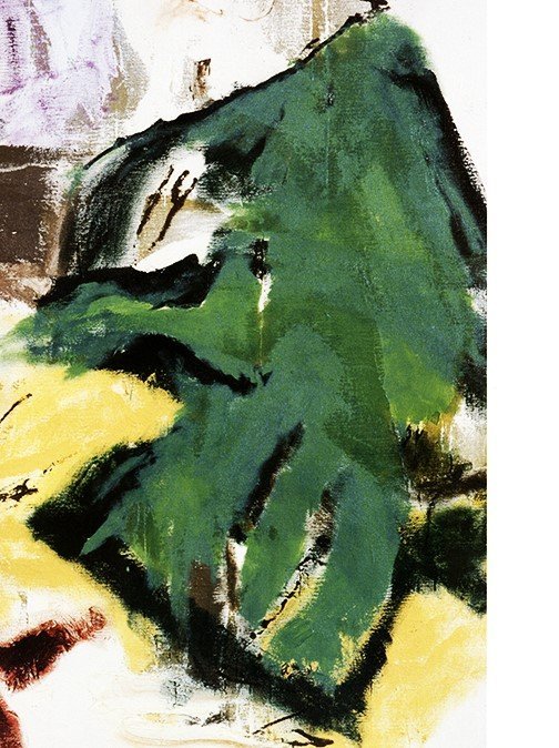 Image 1 of Vliet, Don van - Parapliers the Willow dipped 