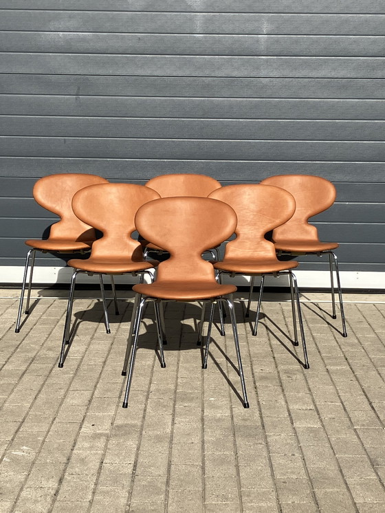 Image 1 of ¡¡NUEVO!! Sillas Fritz Hansen Ant en piel color coñac