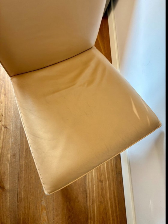 Image 1 of sedie da pranzo Rolf Benz