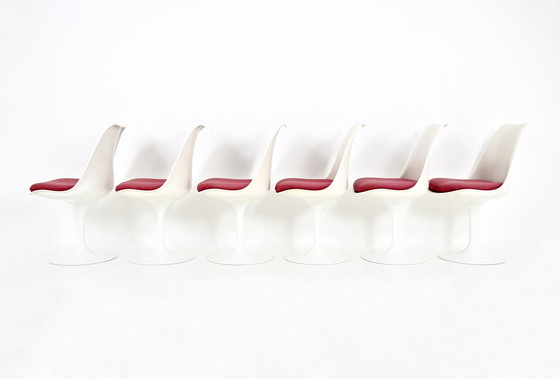 Image 1 of Chaises de salle à manger Tulip par Eero Saarinen pour Knoll International, 1970, ensemble de 6
