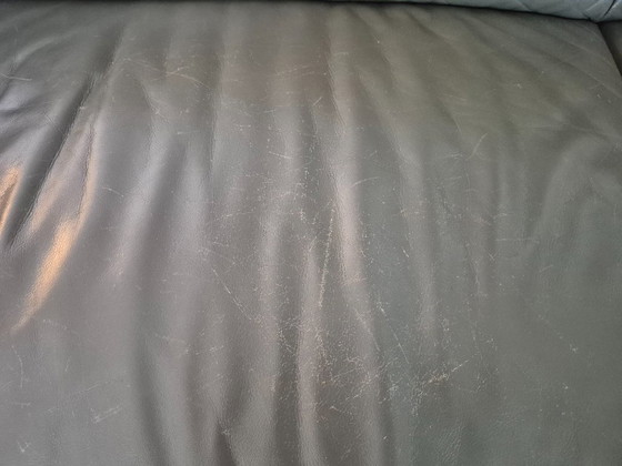 Divano in pelle grigio/verde Leolux – Divani (photo 6 of 8)
