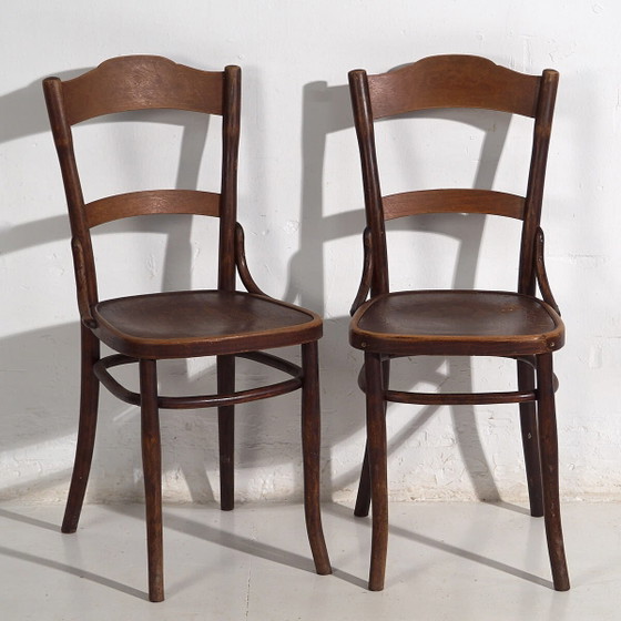 Antique Thonet-Mundus chairs (c.1920). Set of 2 pieces #2 – Dining chairs (photo 4 of 40)