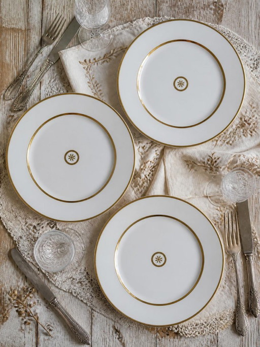 3 vintage Bernardaud Limoges porcelain dinner plates, Sparta pattern