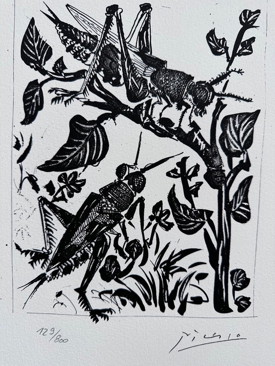 Image 1 of Pablo Picasso (1881–1973) Schöne Lithographie der Heuschrecken