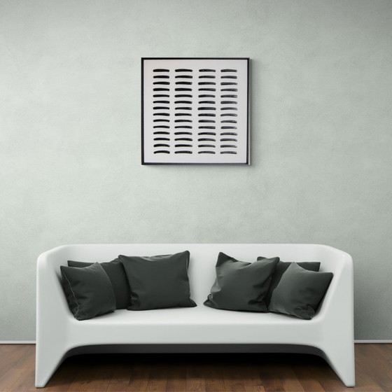 Image 1 of Coquilles de rasoir noires - 83 x 83 cm