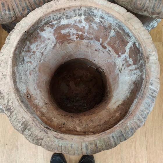 Image 1 of Set van 5 Vintage Franse tuinvazen bloembakken tuinvaas