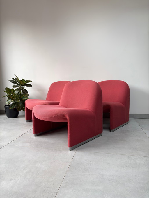 3x Vintage Artifort Alky Chair Rouge