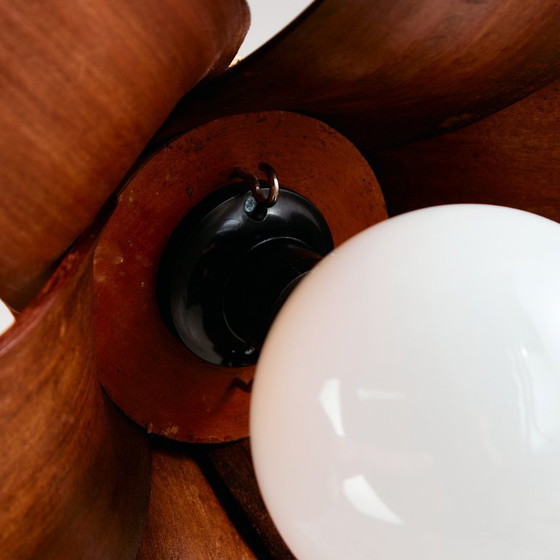 Image 1 of MK10772 Araña de hojas de coco