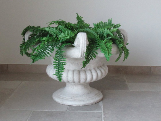 Image 1 of Paolo Marioni decorative pot / table with ferns