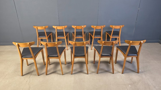 Image 1 of Mid century belgian dining chairs, set of 10, 1960s