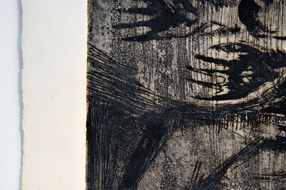 Image 1 of « Saisir la vie » Willy Meysmans Gravure sur cuivre sur vélin