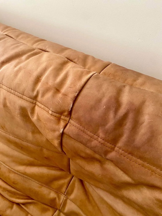Autentico Divano Togo - Pelle Cognac – Ligne Roset, Divani modulari (photo 7 of 11)