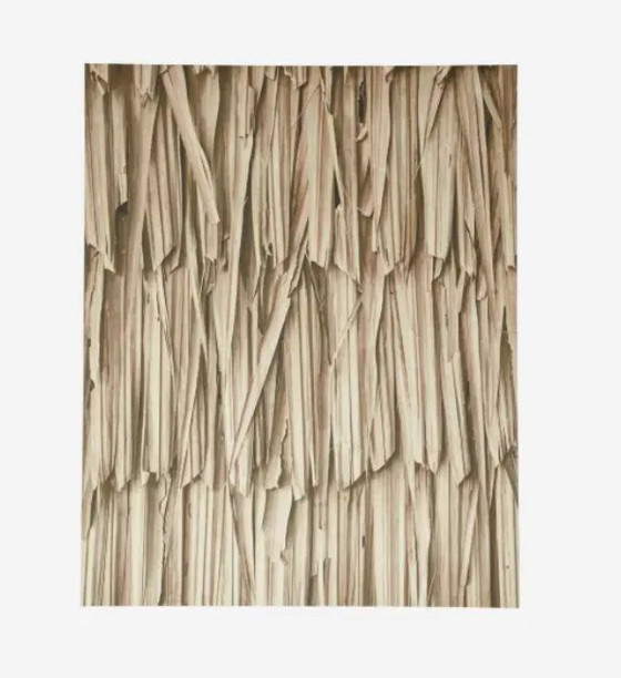 Image 1 of Boconcept - Layers of Leaves Kunstgalerie