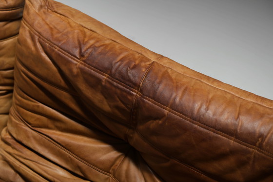 Image 1 of Perfect Rich Patinated Togo in Original Natural Leather by Michel Ducaroy - Ligne Roset