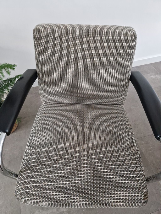 Scylla Leolux Armchair