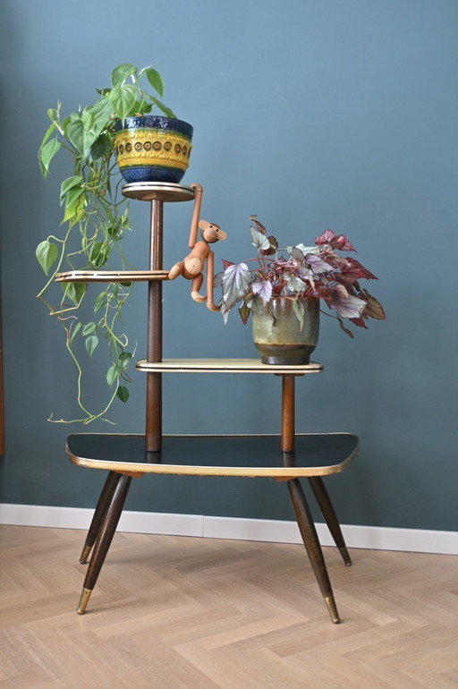 Table à plantes Mid Century