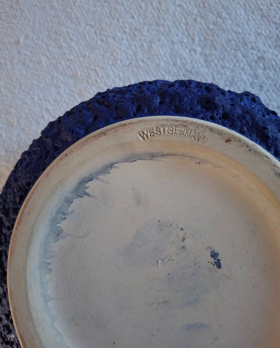 Image 1 of Scala Silberdistel Germania