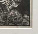 Jan Mankes 1889-1920 / Héliogravure originale Nestkuiken 1923