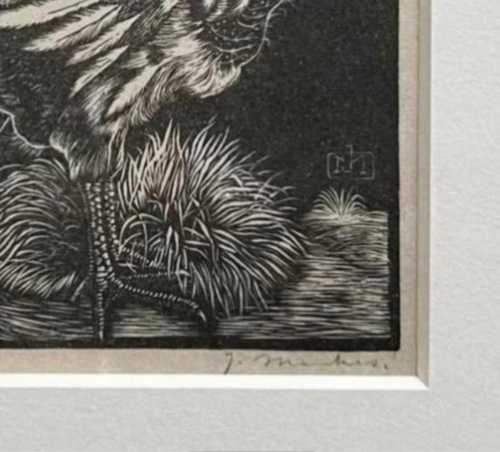 Image 1 of Jan Mankes 1889-1920 / Héliogravure originale Nestkuiken 1923