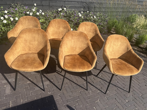 Image 1 of Eetkamerstoelen Montel type Lopez 6 stuks