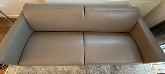 Image 1 of Artifort Mare 2,5 zits leer FC306