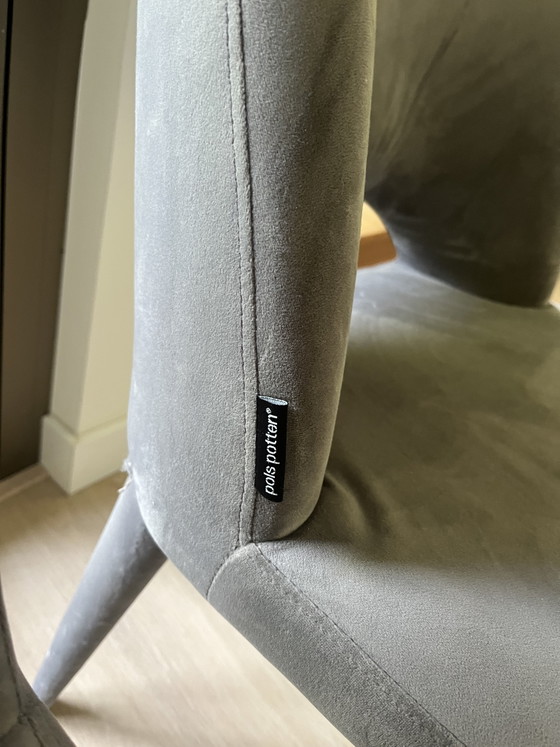 Image 1 of Silla sagrada Pols Potten de terciopelo gris